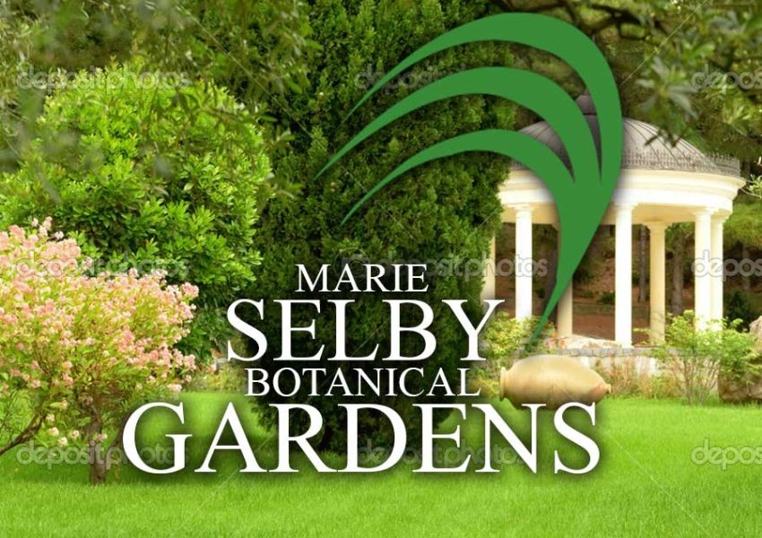 Marie Selby Botanical Gardens Downtown Sarasota