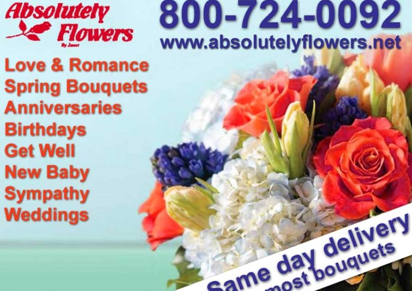 Absolutely Flowers